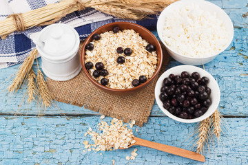 Portion of oatmeal in the bowl with black chokeberry
