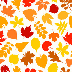 Obraz premium Autumn seamless pattern with colorful leaves. Seasonal vector background..