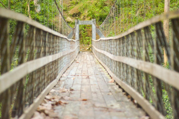 Hanging bridge in the forest photo