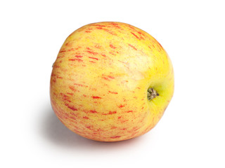 Fresh Gala apple