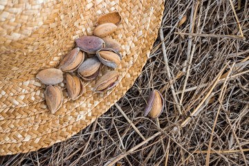Almonds on a straw hat.