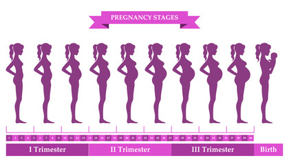 Pregnant female silhouettes
