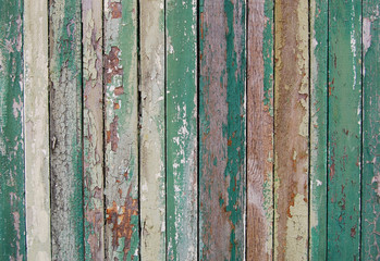 wooden planks, wood background, green, white
