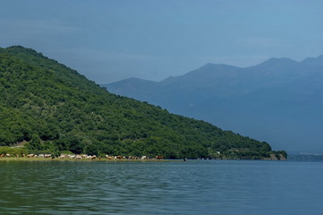 Fototapeta na wymiar Kerkini lake ecoarea in nord Greece, Cow herd.