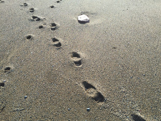 Footprints