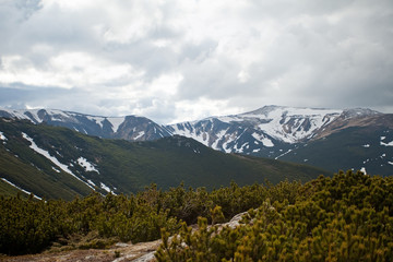 Fototapeta premium Beautiful mountain lawns in summer. Dark day