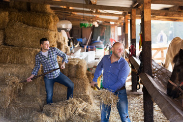 Males giving hat to horse © JackF