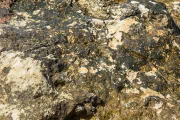 Stone texture. For design with copy space for text or image.