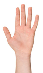 Isolated Male Hand in a Position