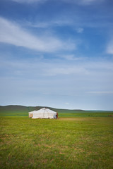Fototapeta na wymiar A nice typical Mongolian landscape of the yurt. Mongolian steppe