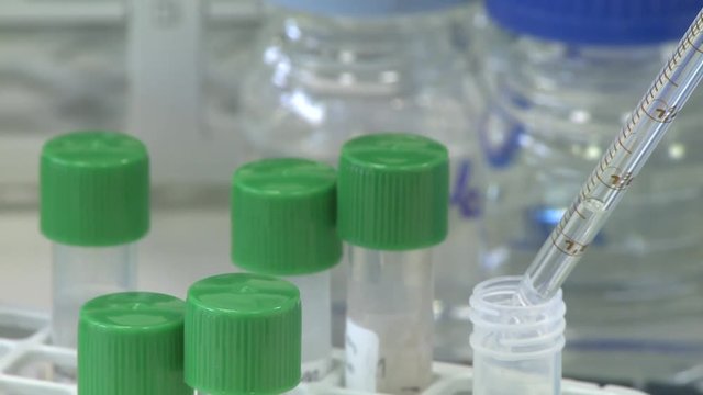 Pippette filling test tube, close up, RL PAN