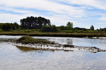 Ilot sur les marais
