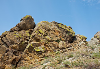Cape hadarta