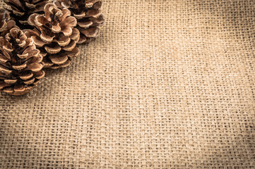 Pine cones, christmas background