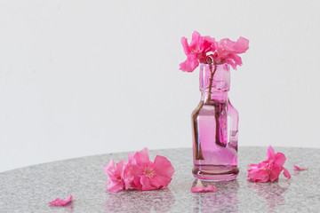  flowers in pink bottle