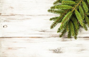 Green christmas tree on wooden boards