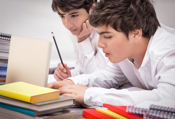 Two classmates doing homework