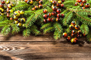 Branch of spruce tree as christmas background