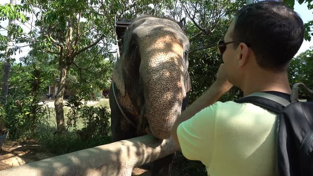 Male tourist taking photo of an elephant on Samui island, Thailand