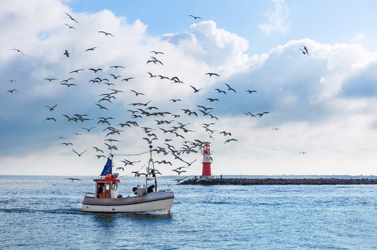 Fishing boat with seagulls in Warnemuende near Rostock, Germany