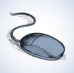 Computer mouse. Vector drawing