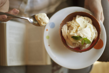 Vanilla ice cream in a bowl made of chocolate with copyspace 