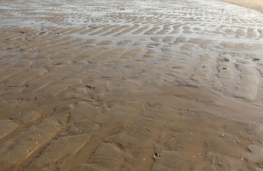beach sand