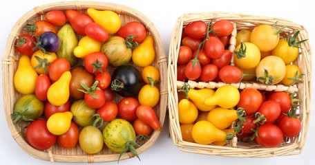 Tomatoes.