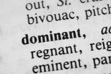 Obraz premium Dominant