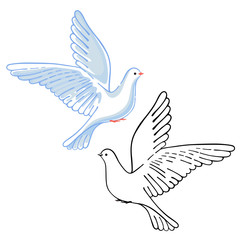 Soaring dove