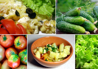 Vegetarian meals - potatoes with cheese and fresh vegetables