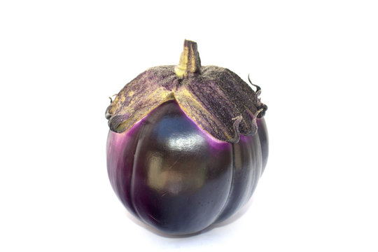 One fresh eggplant isolate