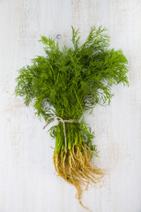 Dill on a  wooden background