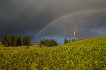 Rainbow in the mountain valley after rain. Beautiful landscape.