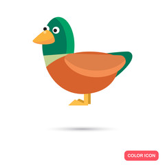 Duck color flat icon