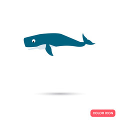 Whale color flat icon