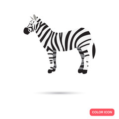 Zebra color flat icon