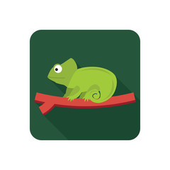 Chameleon on the branch color flat icon