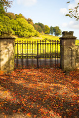 Old, beautiful iron gate at the old Scottish church in Autumn