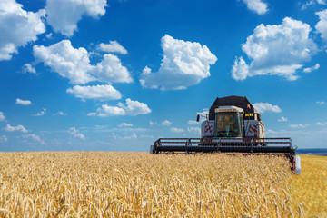 Fototapeta premium Harvester on a field of wheat