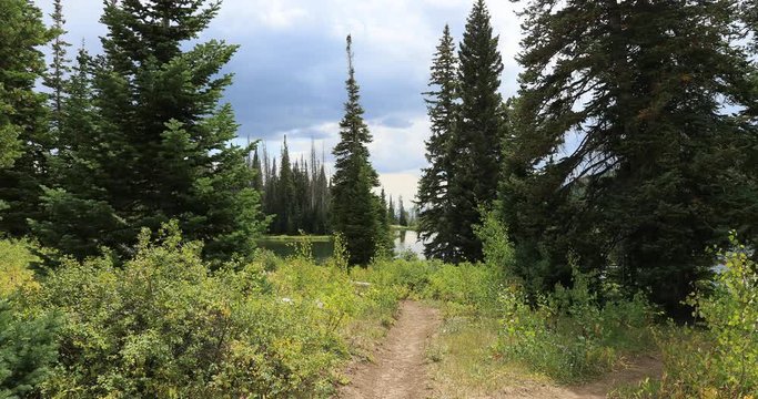 Mountain forest valley lake trail. Beautiful clear water mountain lake. Nature in natural environment. Recreation, hiking, and fishing ponds. Potter's Pond. Campground destination.