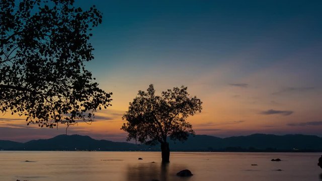 phuket town sunset bay mangrove tree panorama 4k time lapse thailand
