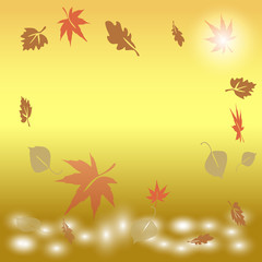 autumn leaves falling into the water at sunrise