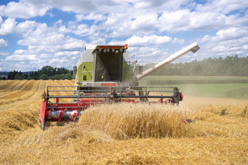 Obraz premium Mähdrescher von vorn bei der Ernte von einem Getreidefeld 