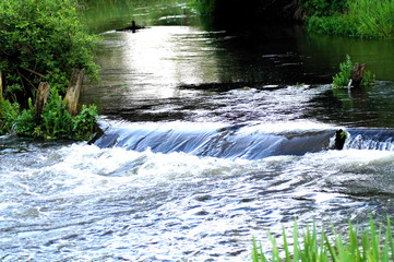 Dzikie wysypisko w parku © klumb