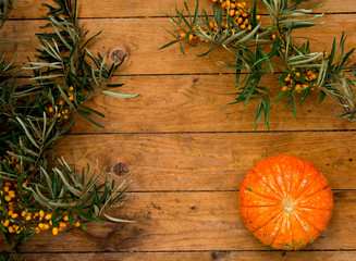 sea buckthorn and pumpkin as the background