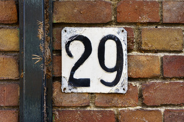 Number 29