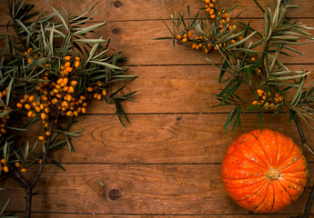 sea buckthorn and pumpkin as the background