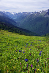 Alpine landscape in Altai Mountains, Siberia, Russian Federation