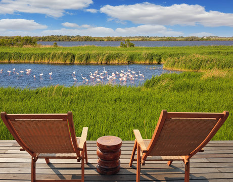 Fototapeta   Flock of pink flamingos in Park Camargue